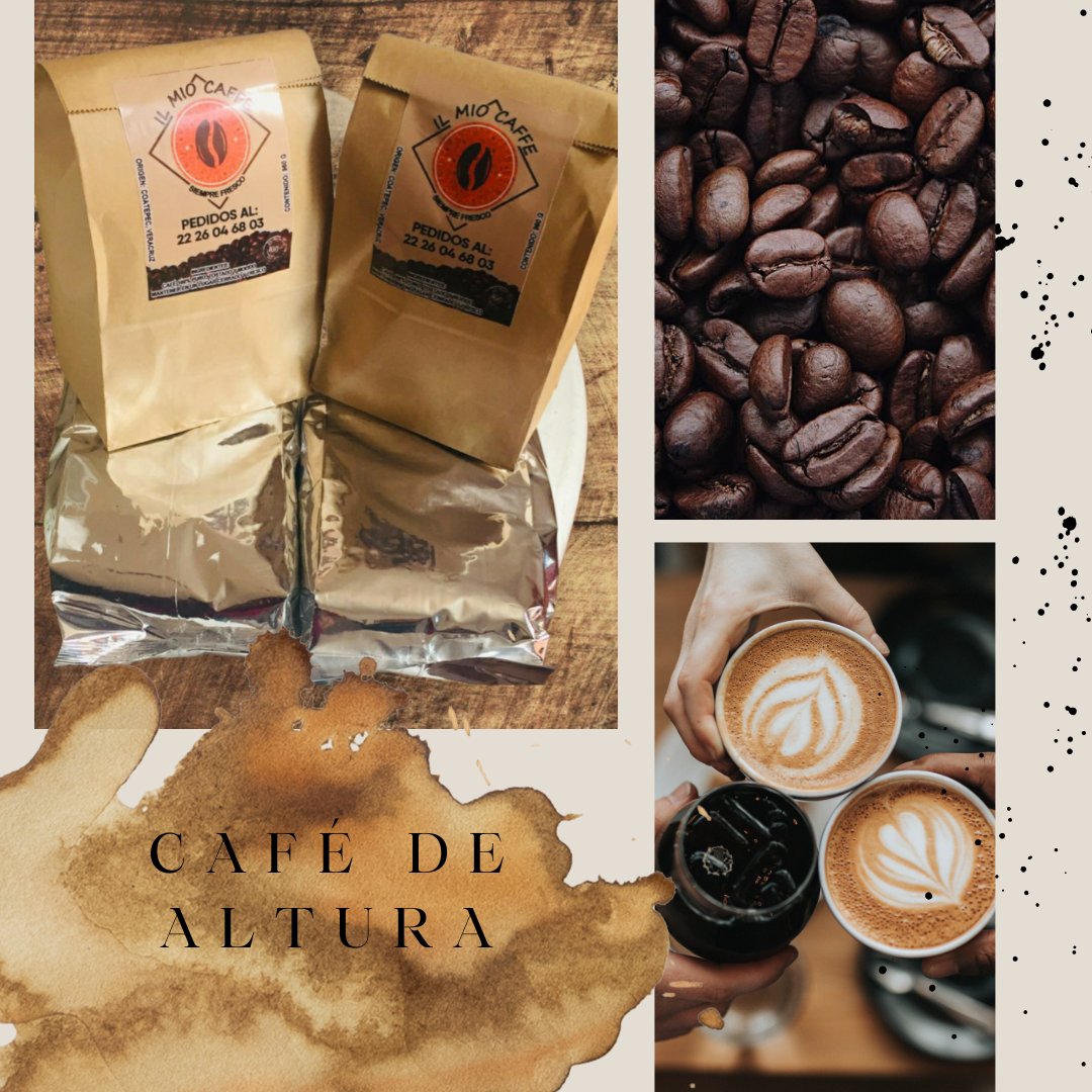IlMioCafe1's tweet photo. https://t.co/wul2m7W9Dt