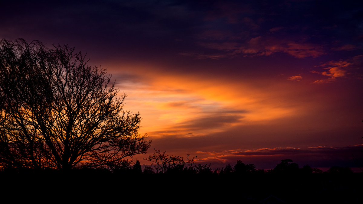 The vibrancy of the dying light...

#photography #GoldenHour #sunset #eveninglight #nikon