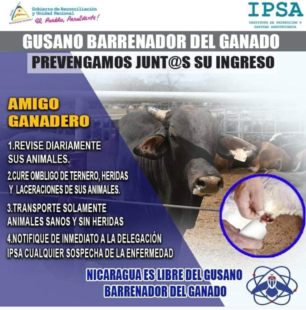 FAGANIC GANADEROS (@faganicnica) on Twitter photo 