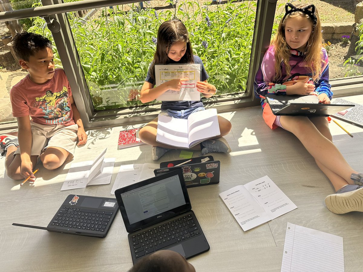 Amber Disney tweet media