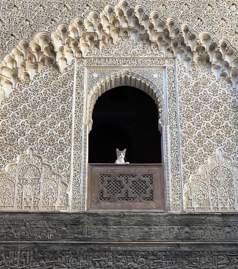 Moroccan Royal Academy tweet media