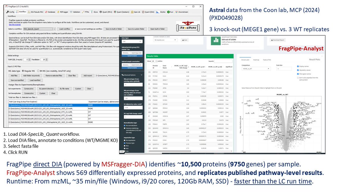 Have Astral, #FragPipe will travel! I downloaded the data from the Coon Lab 'one hour proteome' paper mcponline.org/article/S1535-…, KO vs WT (3 replicates). Great data. Even without using fractionated runs (direct DIA): 10050 proteins (9750 genes)/sample, followed by FragPipe-analyst.