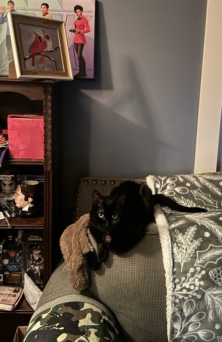 Charis is pleased to catch her first squirrel. https://t.co/mBPjdOfMlJ