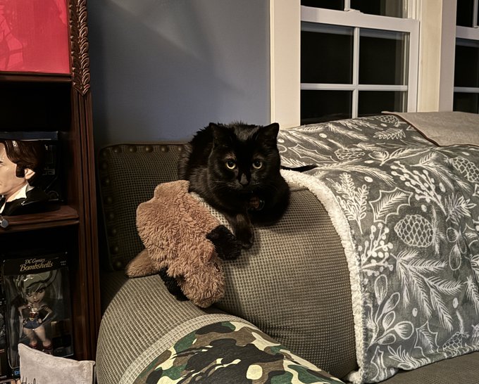 Charis is pleased to catch her first squirrel. https://t.co/mBPjdOfMlJ