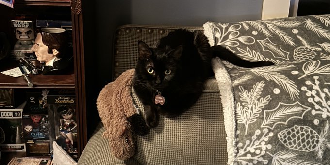 Charis is pleased to catch her first squirrel. https://t.co/mBPjdOfMlJ