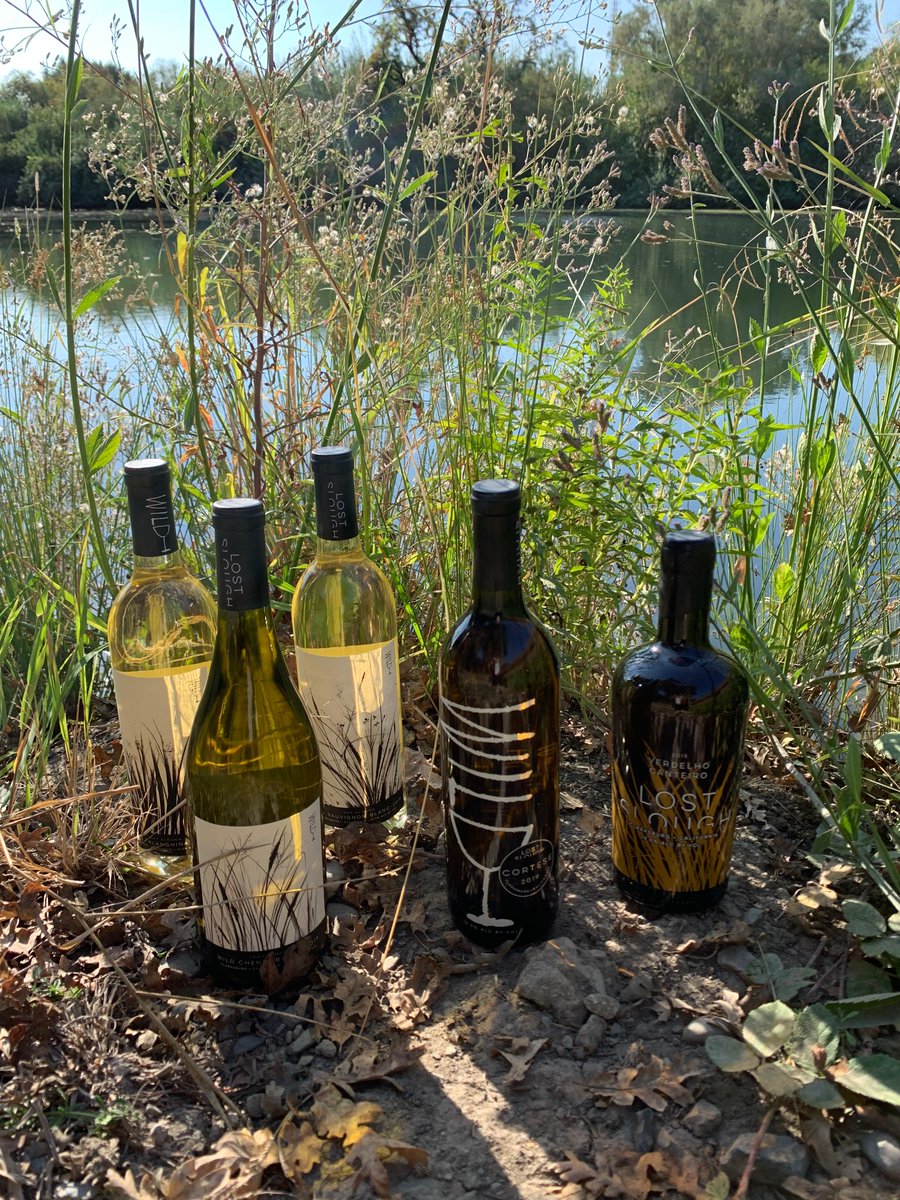 Dancing Coyote Wines tweet media