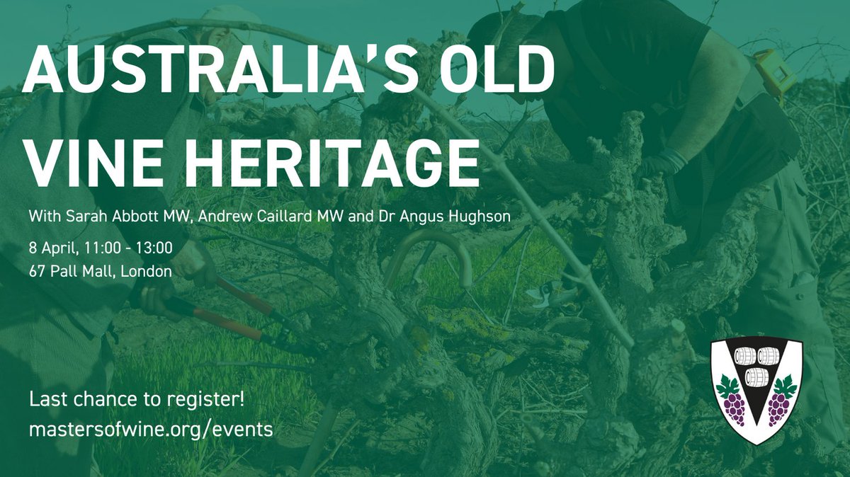 Join us on Monday for a special masterclass with Andrew Caillard MW and Dr Angus Hughson highlighting Australia’s old vine legacy and modern vision. The session will be moderated by Sarah Abbott MW. Find out more: bit.ly/4a8vawG