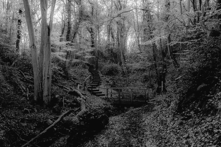 *NEW POST* My latest post explores the ghosts of Benthall Edge and the influence of the Industrial Revolution on their stories. These tragic hauntings make for difficult but necessary reading. …arlyknowledgeablehistory.blogspot.com/2024/04/scarre… #Folklore #Ghostlore #Shropshire #Telford @telfordlive