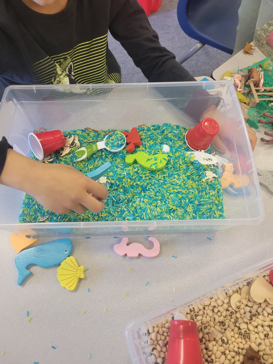 KatieLepcha's tweet photo. Some fun with sensory bins today!
@HeritageGlenPS https://t.co/Y7ulpEk8Iy