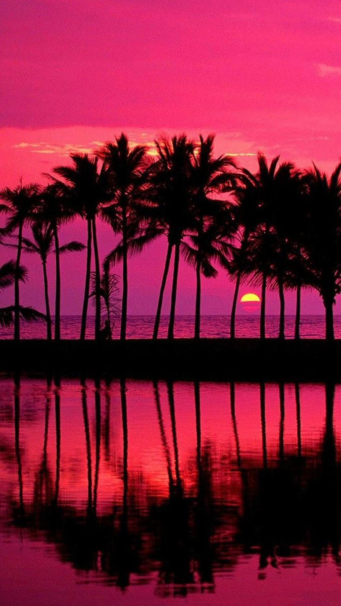 meshty95's tweet photo. #palmtrees #palmtree #aesthetic #red #beautiful #palmtreeaesthetic #orange #summer #sunset #aestheticposts #aestheticpictures #green #purple #sea #beach #clouds
-
Palm tree aesthetic 🌴☀️🌊✨
- https://t.co/1stmf2hJJm