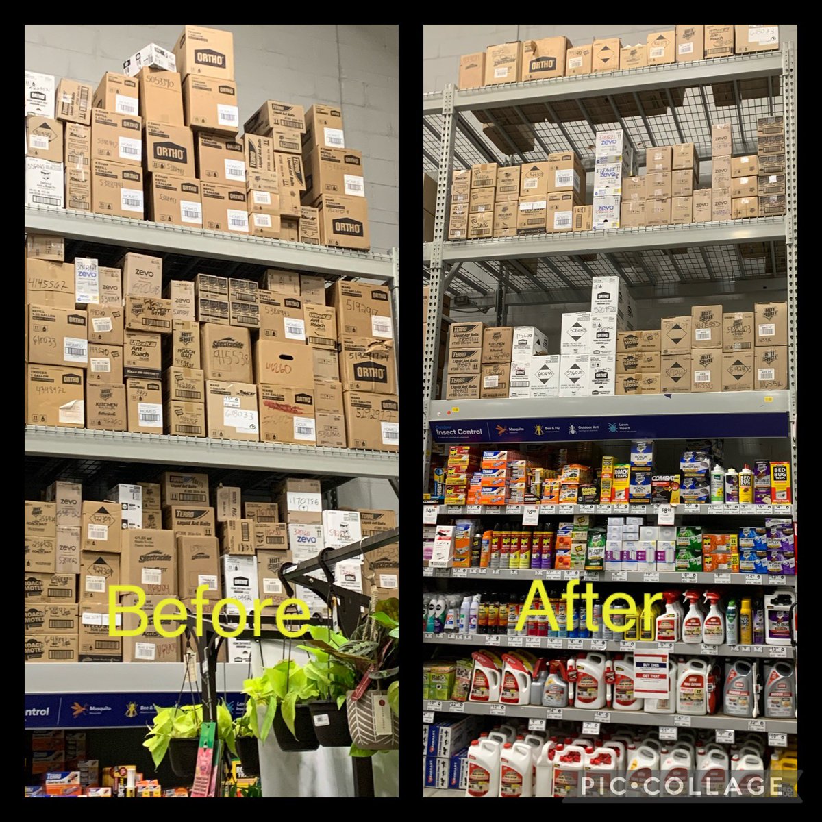 Suzie Howard (@suzie02409046) on Twitter photo One Task team killing the pack down party again last night at 2995! It was great working along side of all of you this week. <a href="/DanJRomanowski/">Dan Romanowski</a> <a href="/Matthew01476387/">Matthew Vukovan</a> <a href="/mattz_720/">MattZ_2995</a> <a href="/ScottBerenbach/">Scott Berenbach</a> <a href="/DCT0813MD/">Dante Thomas</a> <a href="/BenitoKomadina/">Benito.Komadina@Lowes</a> <a href="/BlueBoxR1/">@BlueBoxR1</a> <a href="/AlyshaKellie/">Alysha Scott</a> One Task team killing the pack down party again last night at 2995! It was great working along side of all of you this week. <a href="/DanJRomanowski/">Dan Romanowski</a> <a href="/Matthew01476387/">Matthew Vukovan</a> <a href="/mattz_720/">MattZ_2995</a> <a href="/ScottBerenbach/">Scott Berenbach</a> <a href="/DCT0813MD/">Dante Thomas</a> <a href="/BenitoKomadina/">Benito.Komadina@Lowes</a> <a href="/BlueBoxR1/">@BlueBoxR1</a> <a href="/AlyshaKellie/">Alysha Scott</a>