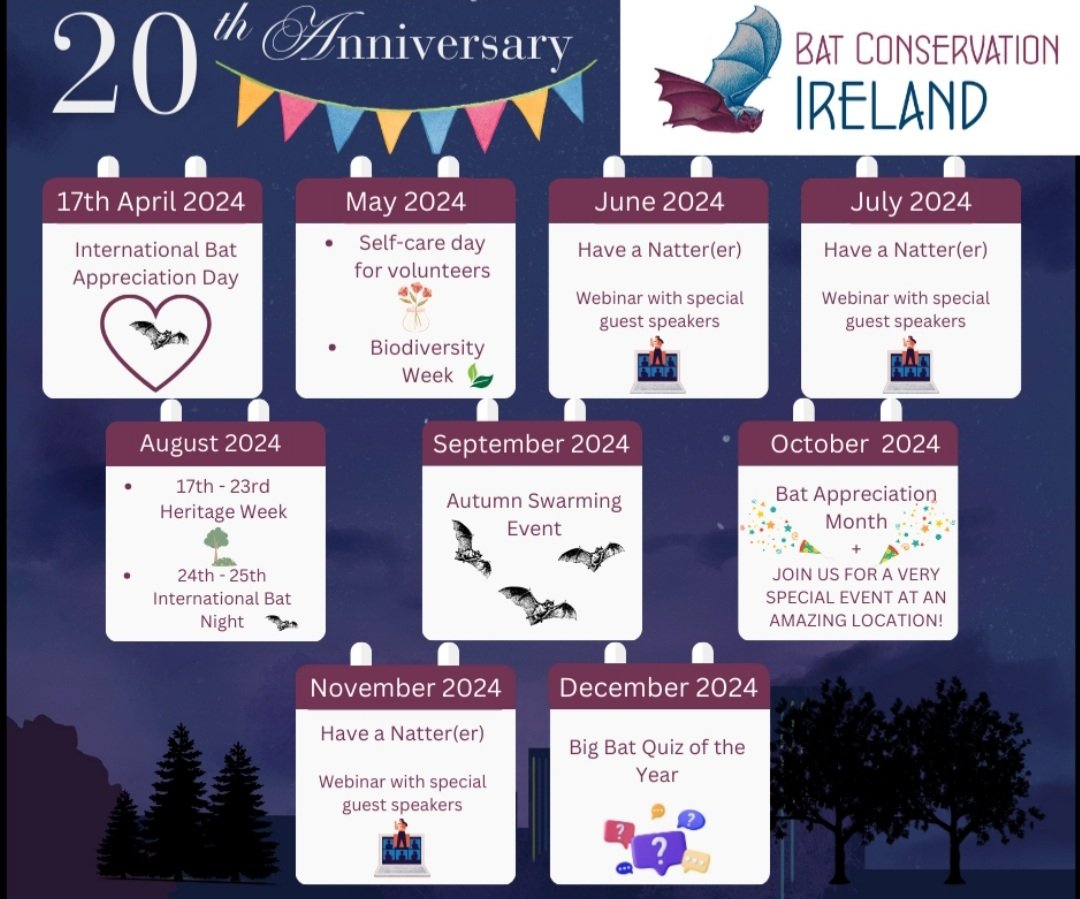 🎉CELEBRATE WITH US🎉 This year we celebrate 20 years of Bat Conservation Ireland 🥳 To mark this milestone, we have organised a calendar of events including a very special event in October 😉 More details to follow... #LoveBats #BatConservationIreland #IrishBats #anniversary