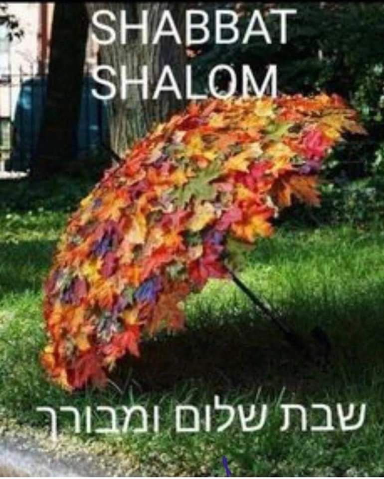 @Lilly_SUG_EK @LiquidFaerie A shainen dank Mispacha ✡️ 
Gut Shabbes ✡️
Shabbat Shalom ✡️
Am Yisrael Chai ✡️
🙏✌️🇺🇦☮️🌎🇮🇱🇺🇸
#WetWorkPutin
✡️📖🕎🕍🔯😎🖖☣️✌️☮️👍🤞👌♏💛❤️🗽🇺🇸🇮🇱🕯️🕯️🇺🇦
