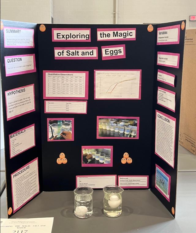 LBPearsonOCSB's tweet photo. Gr.7 students, Anjolaoluwa &amp; Miriam, designed their first science experiment 'Exploring the Magic of Salt and Eggs" to enter the Ottawa Regional Science Fair (Gr 7-12) The two students were interviewed by a series of judges about the process of their experiment and their results. https://t.co/NayZ8XDbdy