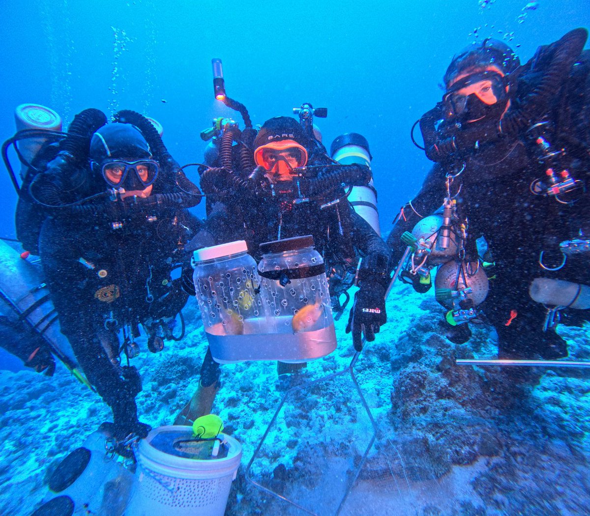 UnderThePole's tweet photo. Wrapping up an extraordinary scientific mission off the Great Barrier Reef with an international team of scientists and divers. 7 dives reaching 120-150 meters! The mission? Cataloging new fish species in the mesophotic zone and documenting coral bleaching 🌊🔍#GreatBarrierReef https://t.co/R8Zlmhk5hV