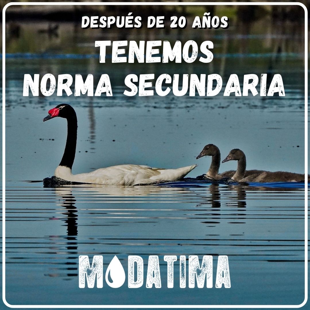 Un hito histórico para la protección del medio ambiente.
Después de 2 décadas de incansable lucha, la norma secundaria del río Valdivia ha sido aprobada.
Reconocimiento al trabajo de la ciudadanía, defensores medioambientales y organizaciones comprometidas. 
#ValdiviaCL #LosRíos