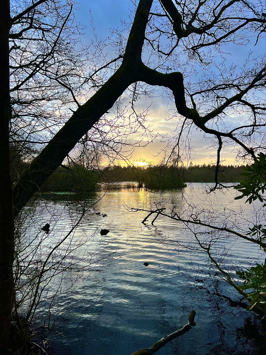 Good evening 🌍 
 Weekend begins 🌅 #EveningWalk #Northumberland