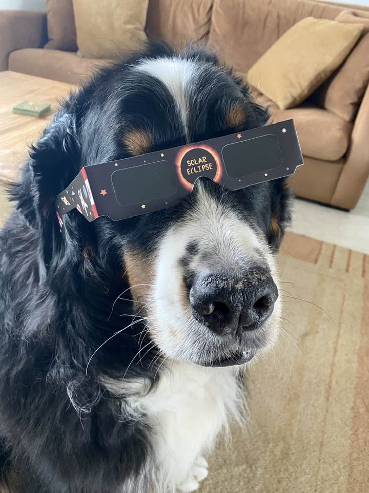 Dude is ready for the eclipse.

#EclipseSolar #eclipse #EclipseSolar2024 #Eclipse2024 #EclipseSolarTotal
