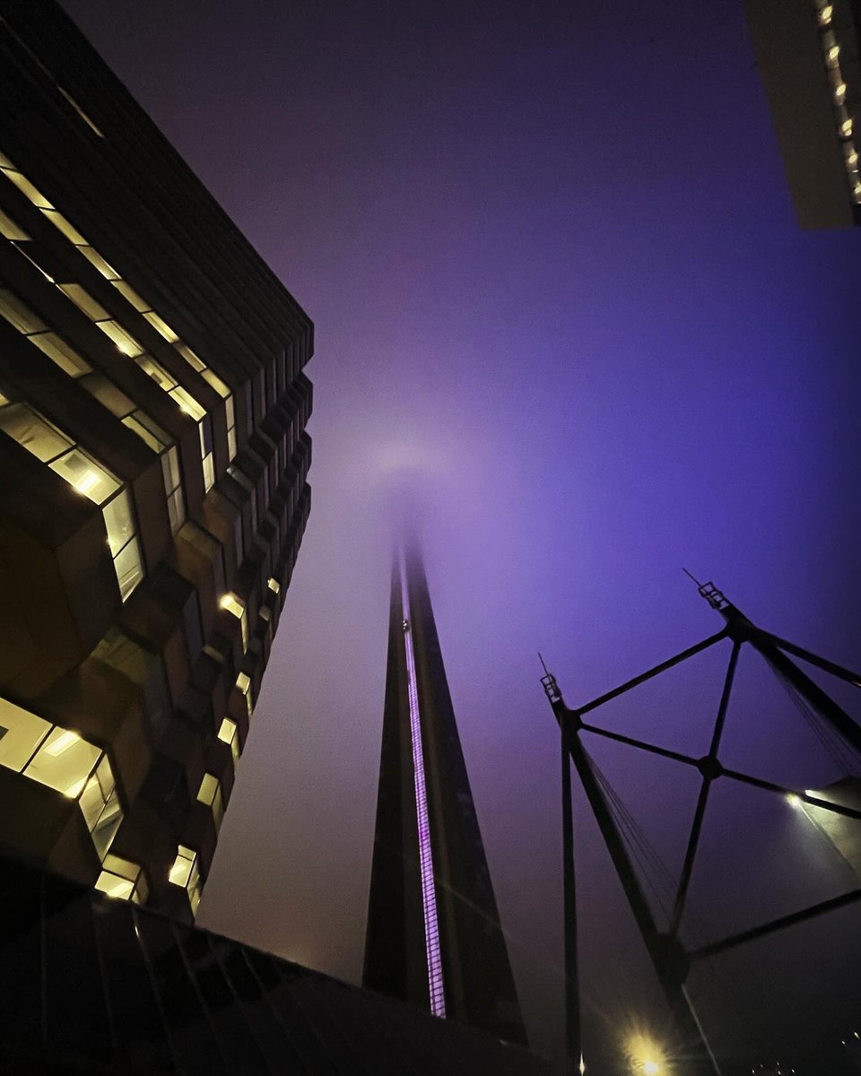 Heidi Bray tweet media