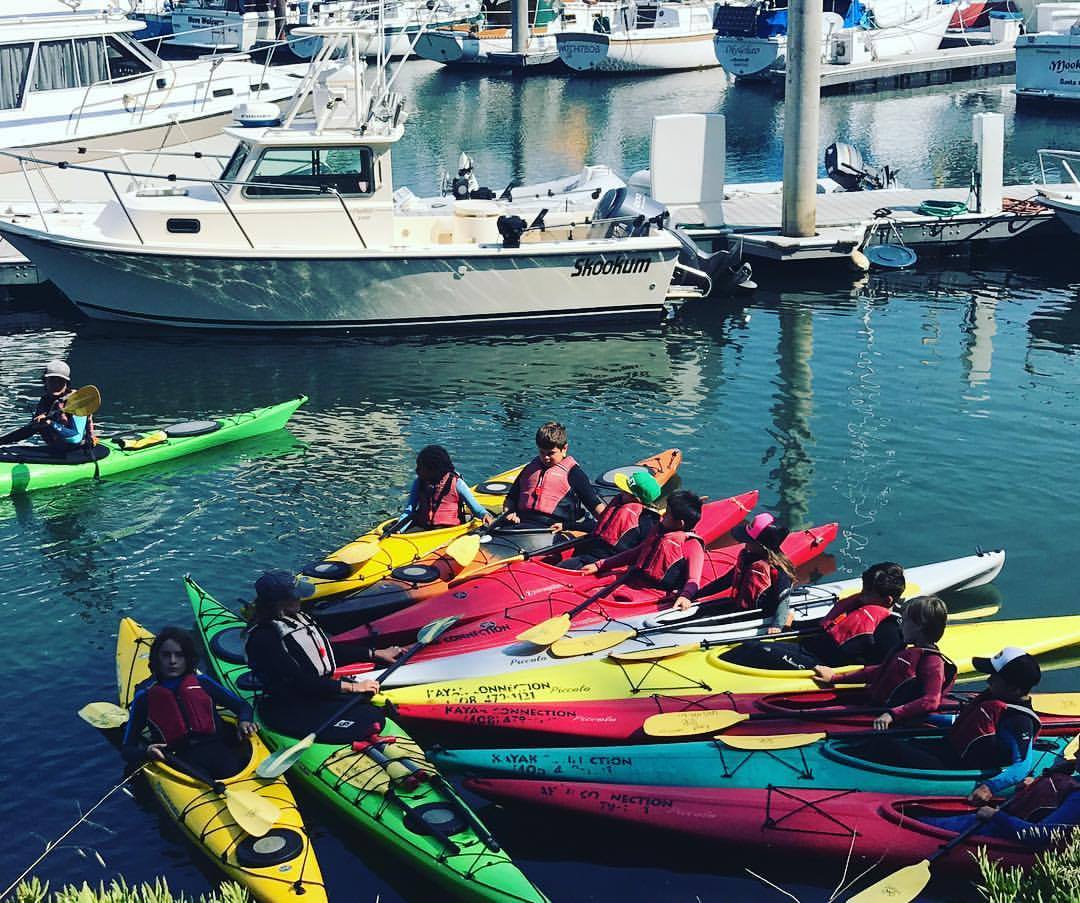 Kayak Connection tweet media