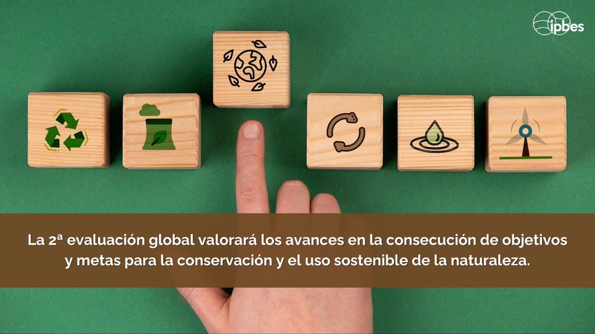 ¿Lo sabías? 🤔 La próxima segunda #EvaluaciónMundial está destinada a apoyar a los gobiernos y a las partes interesadas en la consecución de acuerdos globales clave como el #PlanDeBiodiversidad, la Agenda 2030 y los #ODS. 🌏