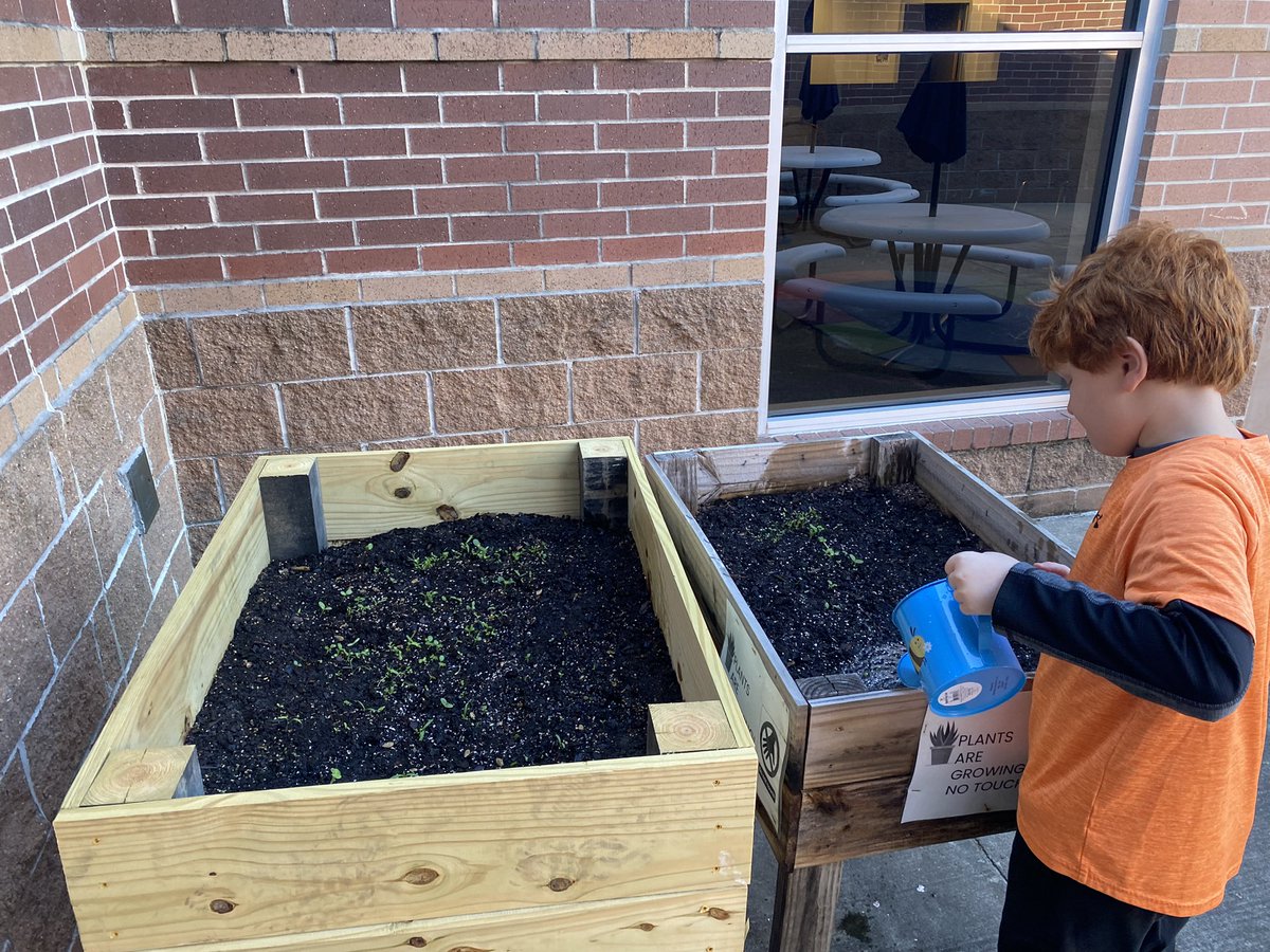 spedfrankflyers's tweet photo. Taking care of our wildflowers π±π @tdleeKleinISD @KleinISD @aschultzKISD @kirstenallman #Autism #KISDACCESS #KISDPRSquad #SpecialEducation #KISDSpEdP2P #ModelTeacher #STEM #Science #gardening https://t.co/ddmXvf49MS