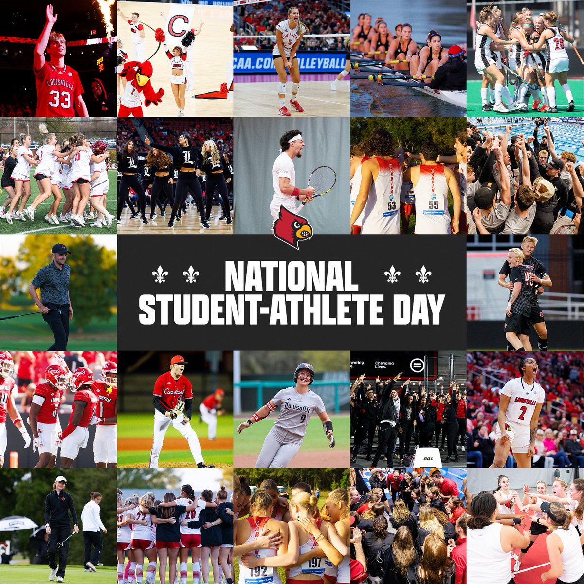 Today we celebrate our student-athletes for their hard work and dedication to their sport, academics and the Louisville community! Happy #NationalStudentAthleteDay ❤️ #GoCards x #ForTheVille