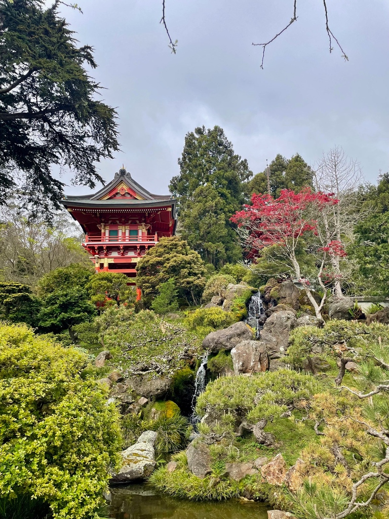 It was a gorgeous day at the San Francisco Japanese Tea Gardens. @UpscaleLivingMG @onlyinsf #gardens #gardendesign #Japaneseteagardens #flowers #luxurylife #luxurylifestyle
