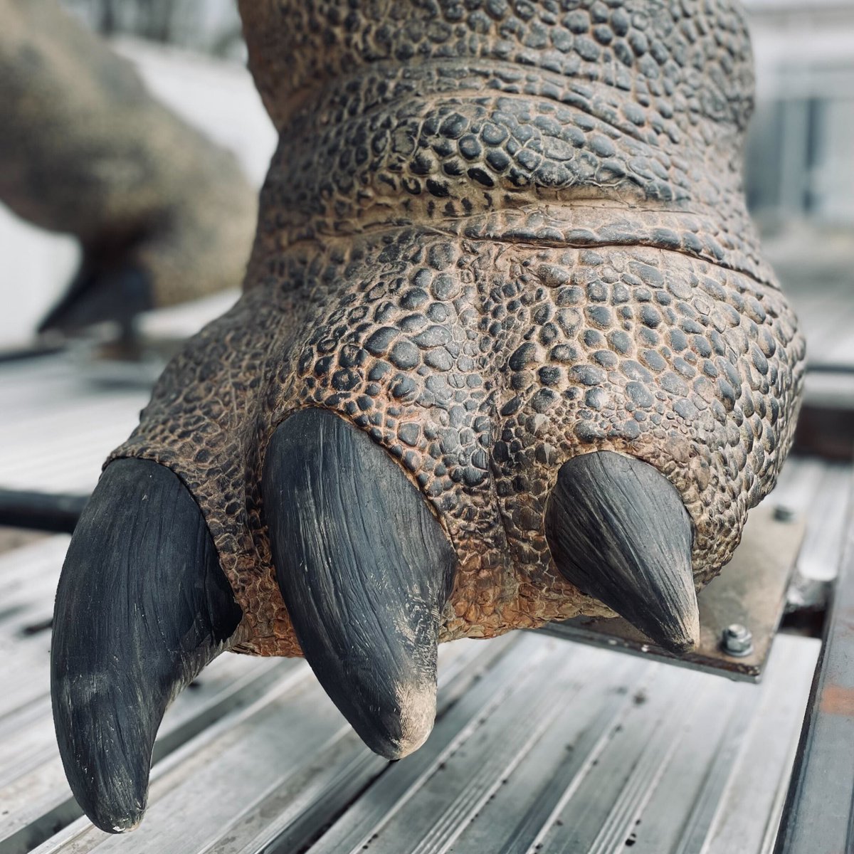The Northeast shook today…And our dinosaurs just came home…Coincidence? 🦖