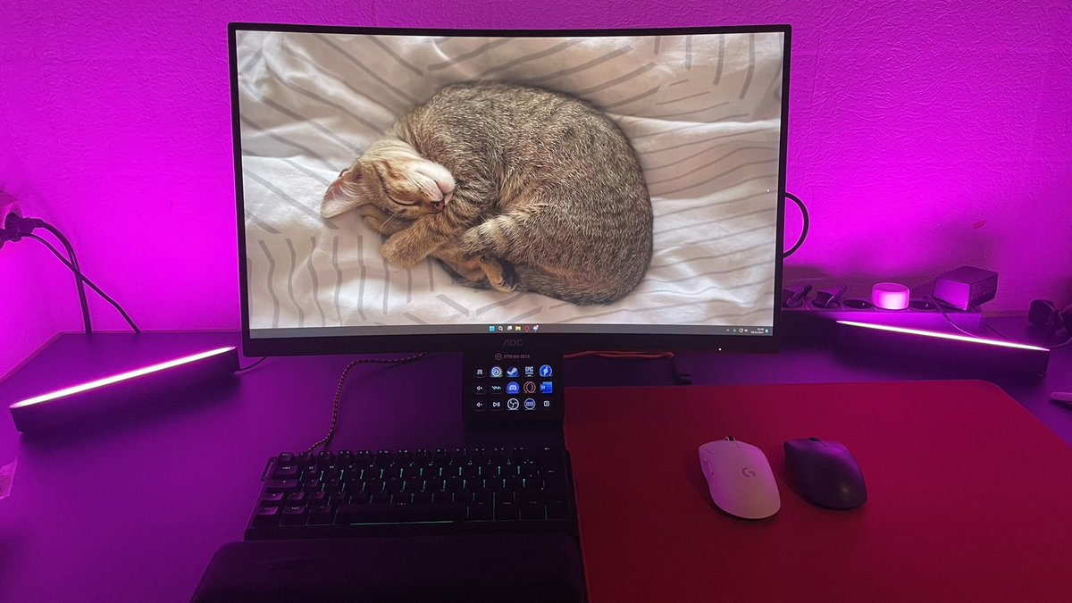 Koorkii1's tweet photo. @wearemaxgaming Dont shame my cablemanagement a powerstrip holder for under the table ist coming in soon. The wooting will be transferred into an Tofu Redux, and the table top will be changed to wild oak because the Ikea Tabletop starts to bend 😂 https://t.co/TjzbqSewN8