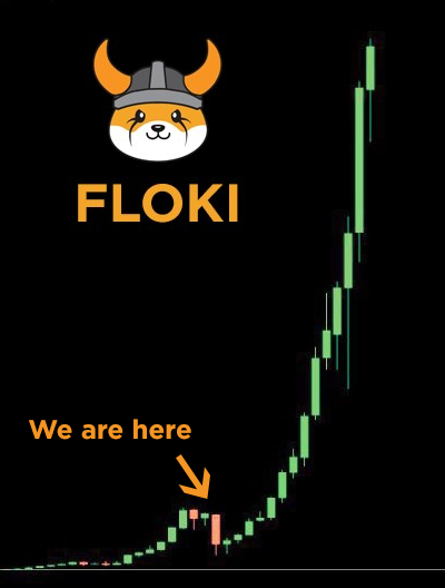 We already lost a lot of soldiers to this recent dip.

Don't lose sight of the big picture.

We are almost there. $FLOKI 🚀