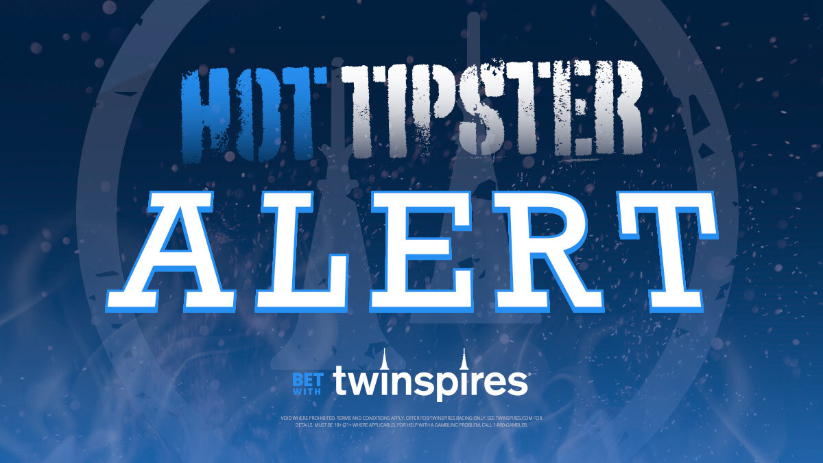 TwinSpires's tweet image. #HotTipsterAlert 🔥

@James_Scully111 has had THREE top #ExpertPick winners in a row at Aqueduct, inlcuding a 4/1 best bet winner! 

All #ExpertPicks can be found in the mobile app or online! 📱