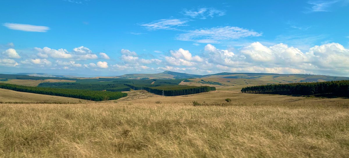 A great opportunity yesterday for our students to hear about sustainable commercial forestry management from @SappiGroup. Thanks to Peter and the team at Kwambonambi for their time and talk 🌲🌲