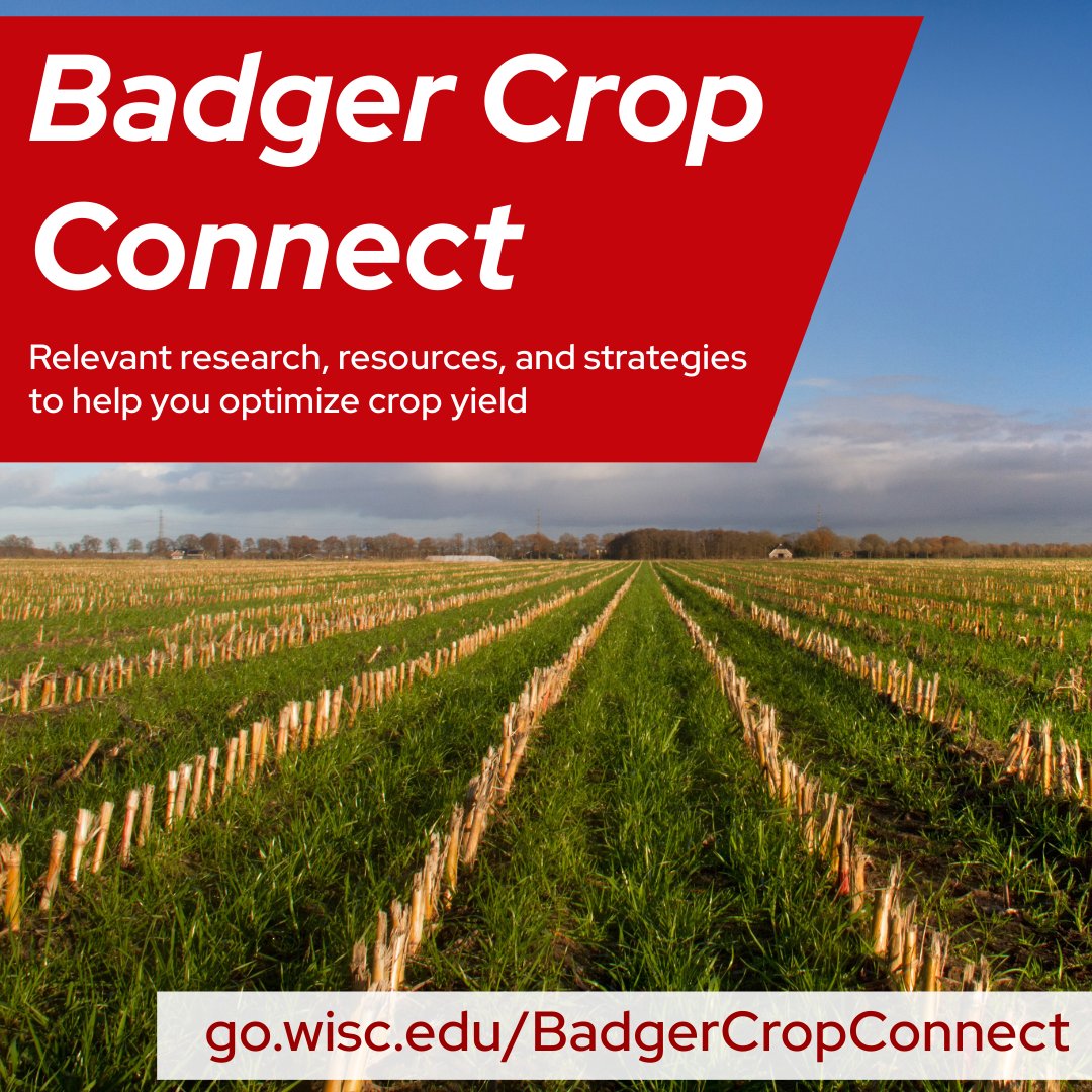 Back for its fifth year, Badger Crop Connect begins on April 10 at 12:30 p.m. and continues every 2nd and 4th Wednesday of each month through late October. Register for the series and sign up for email updates at go.wisc.edu/BadgerCropConn….
<a href="/UWMadisonExt/">UW–Madison Division of Extension</a>
