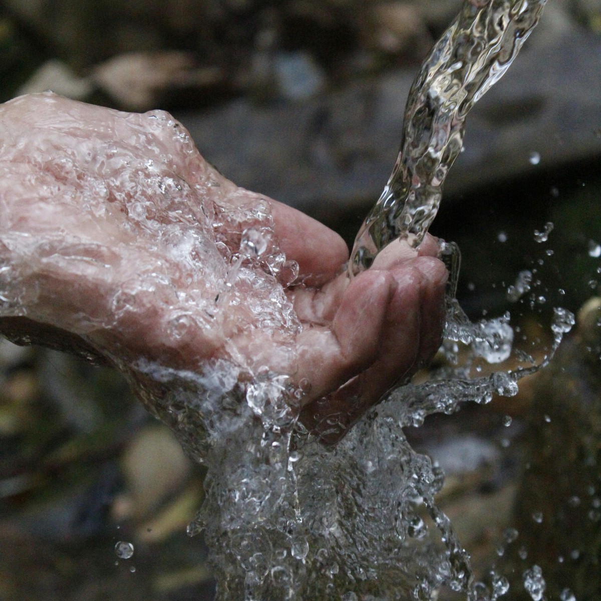 StopFitzhughCon's tweet image. 💧 Join Greater Edwards Aquifer Alliance (GEAA) on Wednesday, April 24 at 3:30 p.m. for the fourth session of their 2024 Water Wonks Lecture Series! 

Learn more at brnw.ch/21wIyDp

#GreaterEdwardsAquiferAlliance #stopfitzhughconcertvenue #waterwonks #Texaswater