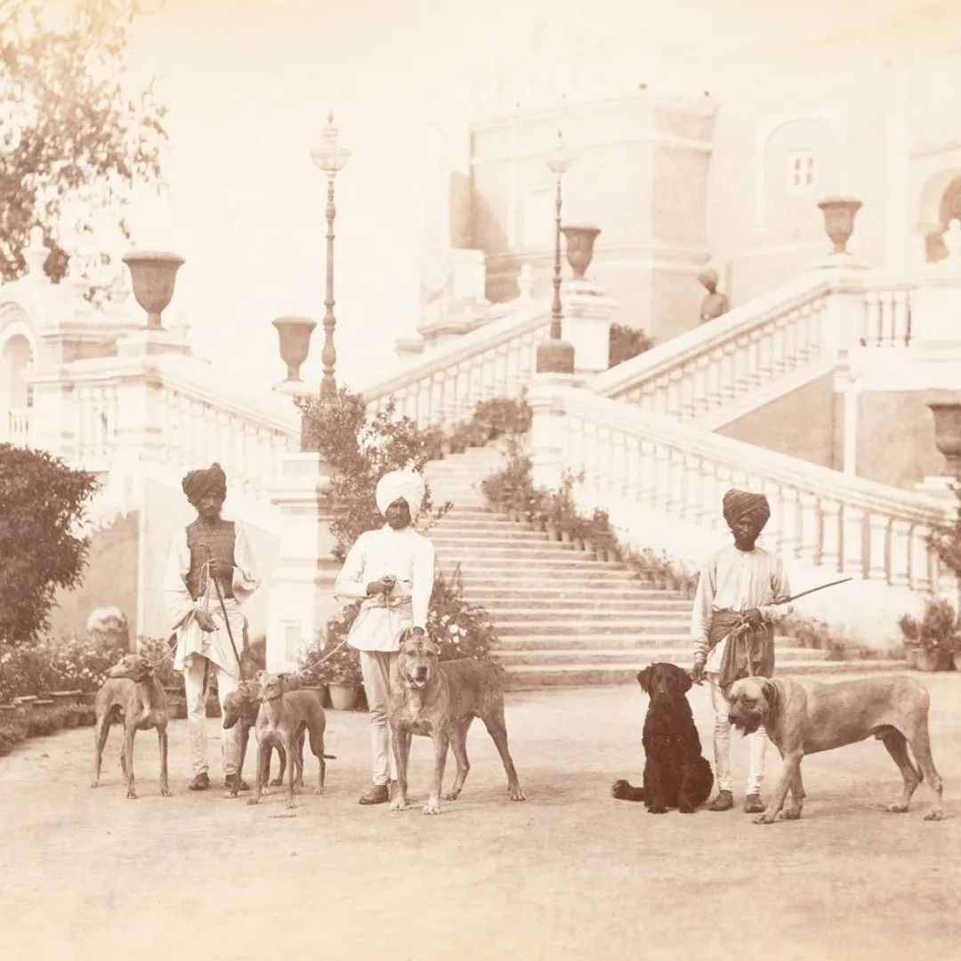 Guard dogs and handlers at the residence of Jagatjit Singh, Maharaja of Kapurthala.