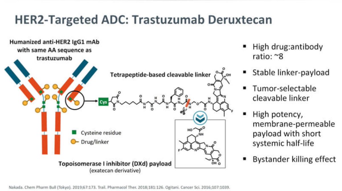 #TDxD now @US_FDA approved for pan-tumor w/ HER2 IHC3+ solid tumors who have received prior systemic treatment and have no satisfactory alternative treatment options. Based on DESTINY-PanTumor02, DESTINY-Lung01, and DESTINY-CRC02: - Dose 5.4 mg/kg - Common AE: fatigue,…