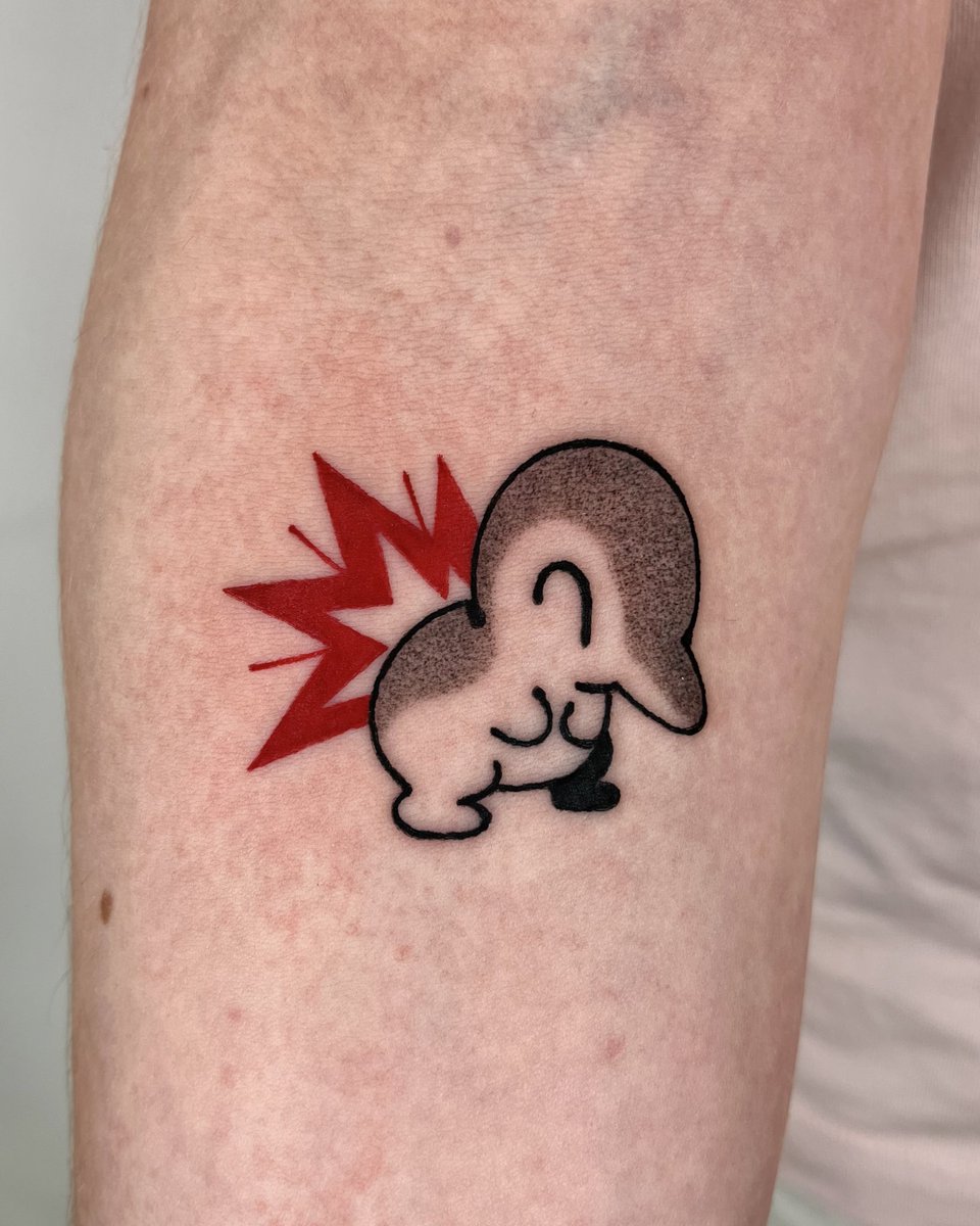 Cyndaquil I tattooed last summer :3