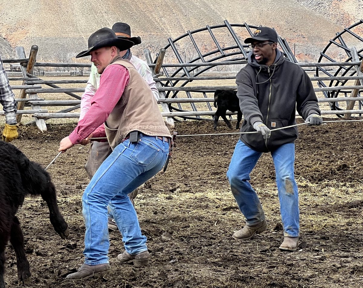 We’ve had the pleasure of getting to know this wonderful young man, Ethan from VA &amp; would like to help him out by asking you if there’s a job for him closer to his family.
He’s a very good rider, has picked up a lot of cattle working skills and has an excellent work ethic.