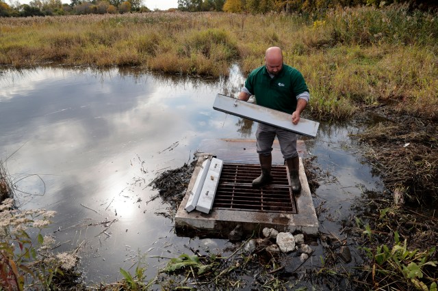 Wetlands are a vital habitat in our region and a natural shield against climate change. @shedd_aquarium @SheddAquaCEO urges us to invest in restoring and protecting these crucial ecosystems. Learn more via @chicagotribune op-ed: ow.ly/4PHr50R8EIz
📸 by Antonio Perez