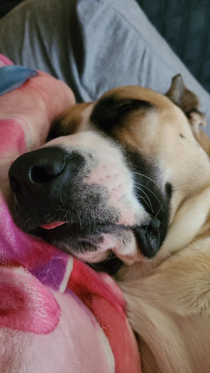Blep. That is all.