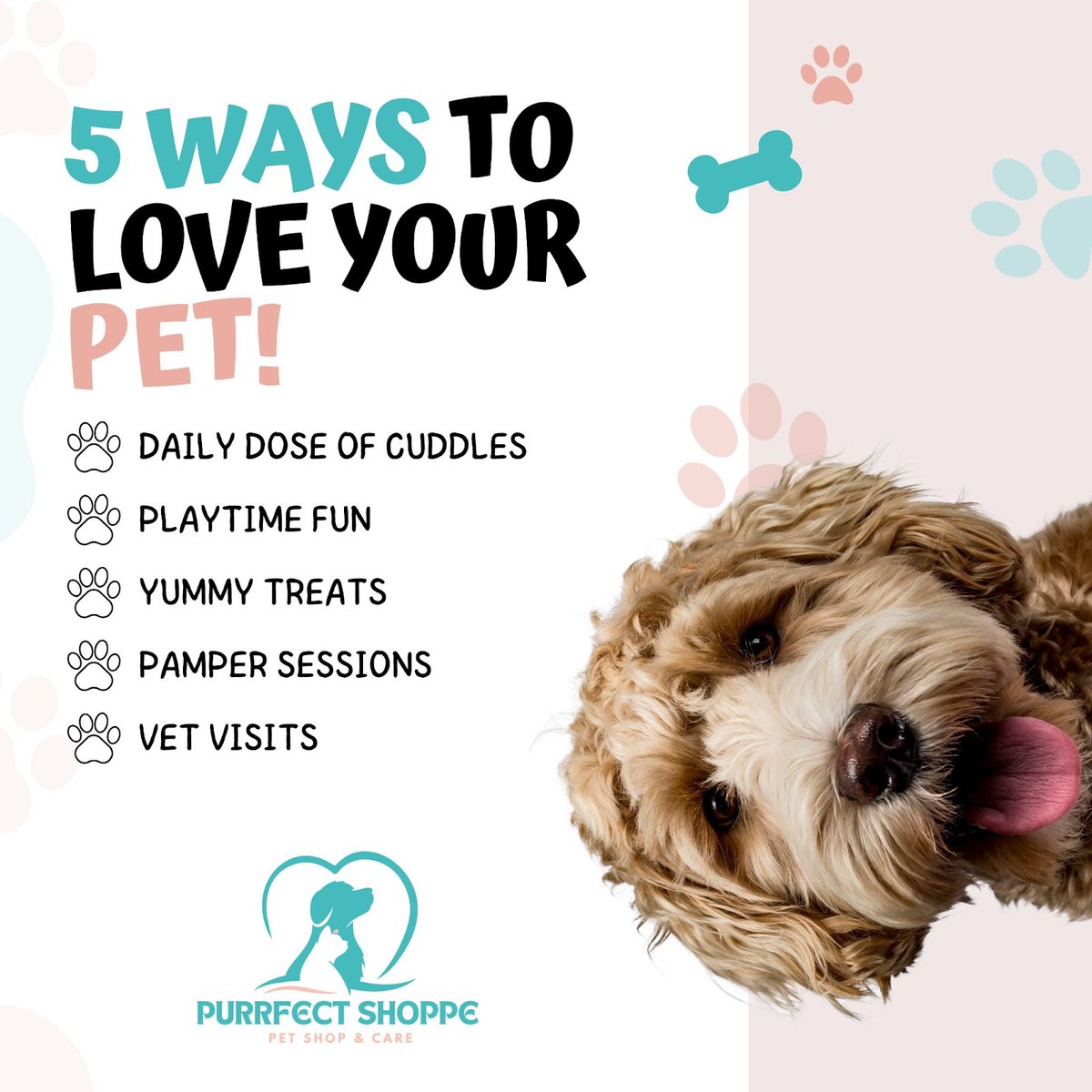What’s your pet’s fave love language? 💚🐾
-----
Shop the best pet products ➡️ purrfectshoppe.com
.
#petlovers #petcare #petsupplies #furbabies #pawsomeproducts #petaccessories #petessentials #animallovers #healthypets #happypets #petshop #petparents #doglovers