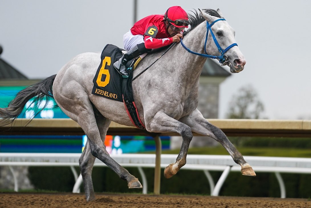 Who’s the leading 3yo sprinter in the land? How about Maximus Mischief’s first-crop colt GLENGARRY who drew off impressively to win the $400,000 Lafayette S. @keeneland, his third stakes win from 5 starts! Congratulations to breeder Highpoint Bloodstock and all the connections 👏🏽