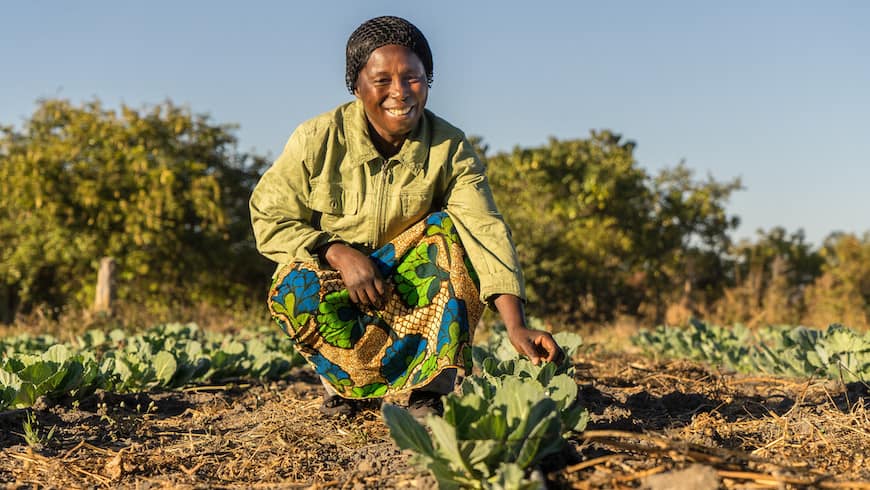 News via <a href="/RuralElec/">Alliance for Rural Electrification</a>: <a href="/InfracoAfrica/">PIDG Project Development – Africa (InfraCo)</a> Invests in Climate-Resilient #Agriculture:

bit.ly/4cNCJv0

#IoT #PUE #solar #WaterPump #SmallholderFarming #Africa #ClimateChange #resilient #SocialImpact #SustainableBusiness #RenewableEnergy
