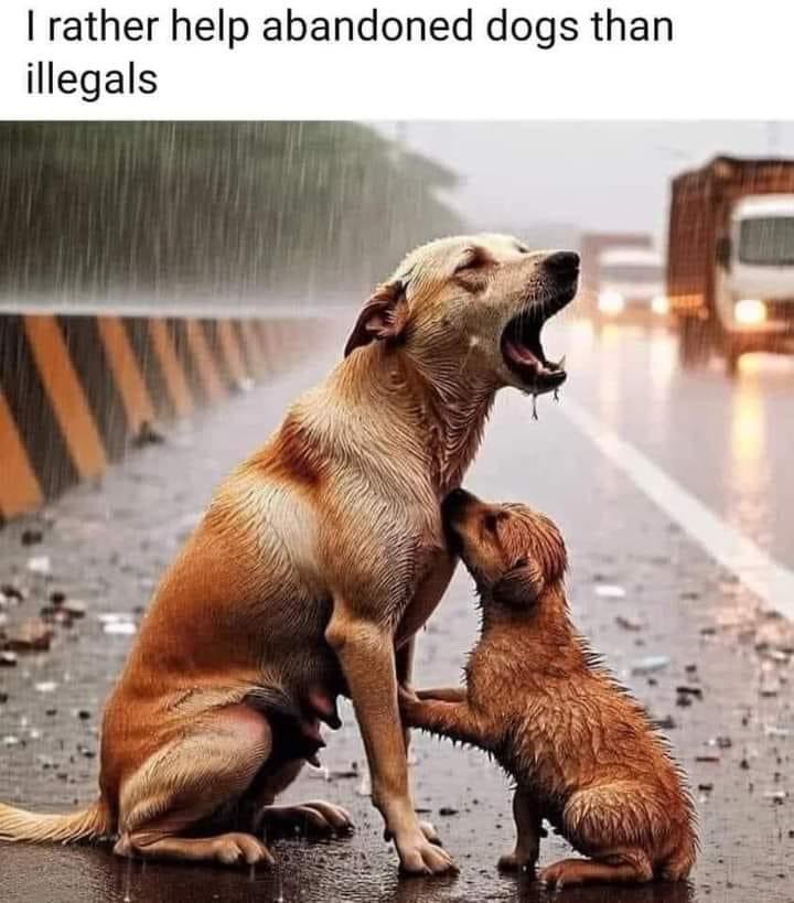 Texas 🇺🇸 tweet media