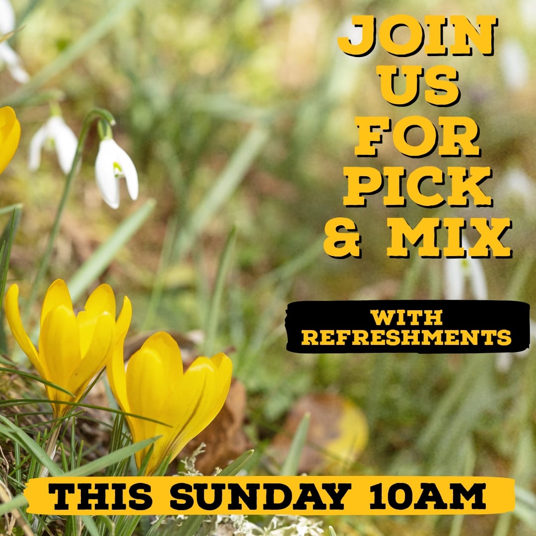 Next Pick and Mix (litter pick, planting and tidy up) is this Sunday, whatever the weather. Refreshments are provided!