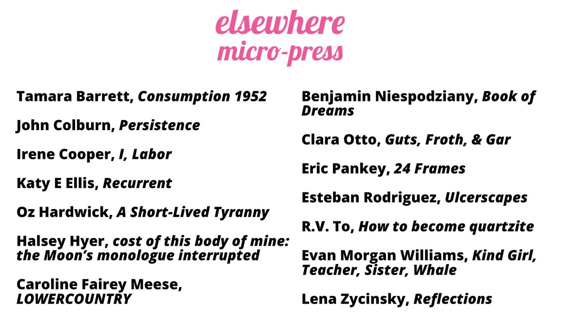 elsewhere tweet media