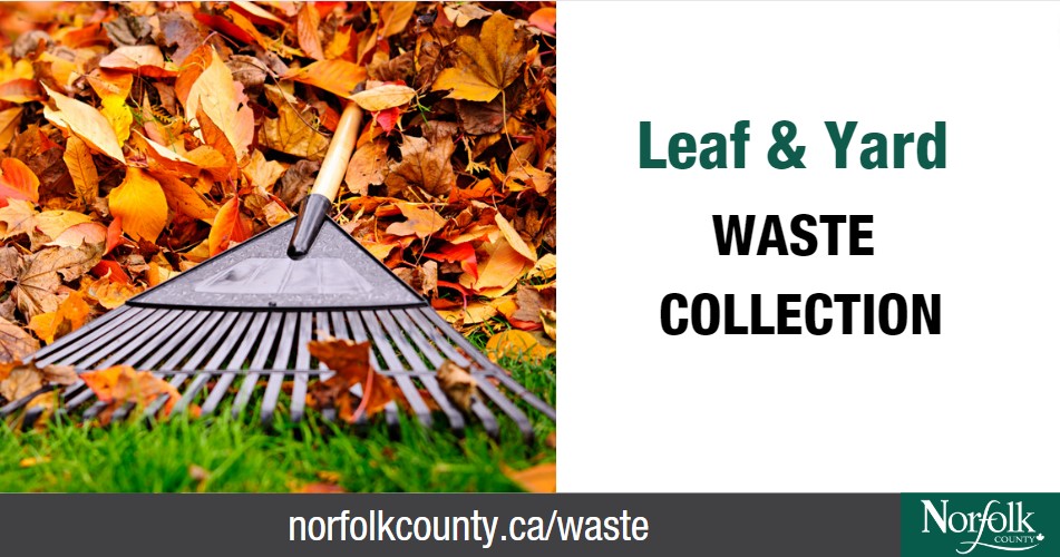 Norfolk’s urban leaf and yard waste collection begins April 8 in zone one (Simcoe and Long Point) and April 15 for zones two (Port Dover, Langton, and Port Rowan) and three (Turkey Point, Vittoria, St. Williams, Courtland, Delhi, and Waterford). bit.ly/4cP1A1t