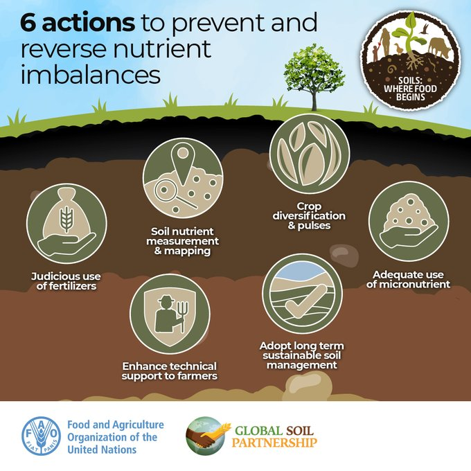 🤎 We rely on soils for9⃣5⃣% of the food we consume. They are the life support for our food security. Here are 6⃣ actions farmers can take to prevent ad reverse soil nutrient imbalance👇 #Soils4Nutrition