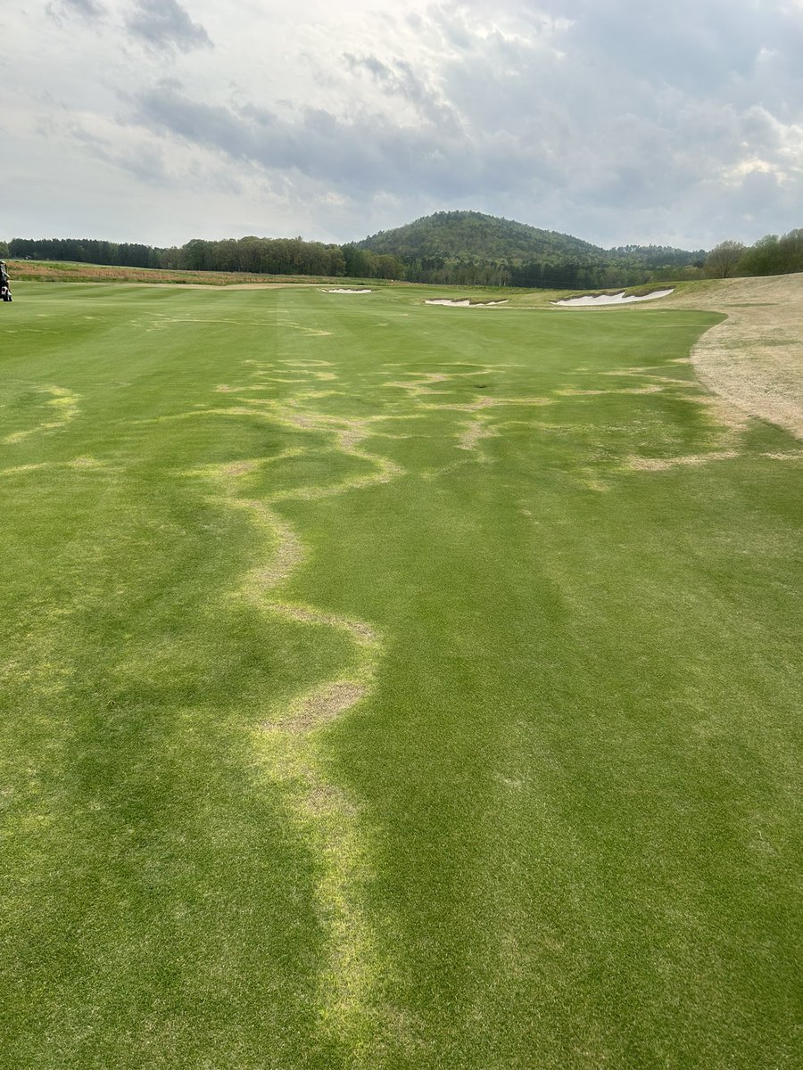 Mark Simon tweet media